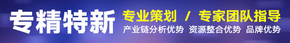 專精特新