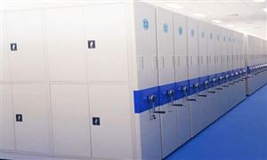 2020年中國電子檔案管理系統市場調查分析