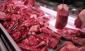 保春供穩肉價：豬肉價格每斤30.14元 雞蛋水產品價格穩中有降
