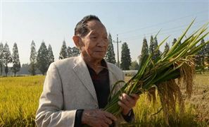 袁隆平新年心愿牛氣沖天畝產三千 2021年中國農作物種子行業投資前景預測
