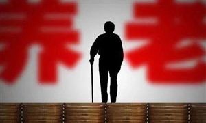 國民養老保險公司來了！ 養老保險行業風險投資態勢分析