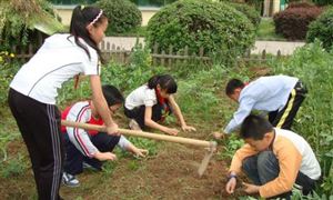 教育部:注重全面提升學生勞動素養 獨立開設勞動教育必修課