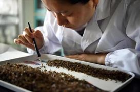 上海研發經費支出比例將達到4.5% 中國科研領域發展經費投入及政策