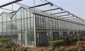 溫室大棚市場調研分析 溫室大棚行業前景及現狀分析