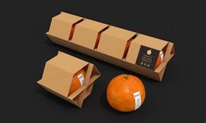 紙包裝行業分析 紙包裝行業發展趨勢預測