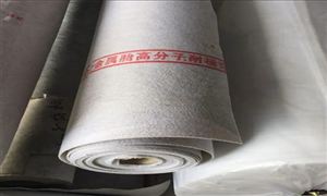 2022高分子防水材料行業(yè)發(fā)展現(xiàn)狀及市場前景分析