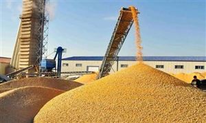 2022年糧食物流行業現狀及發展前景分析