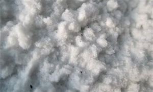 2022年硫酸鈣晶須行業現狀及發展前景分析