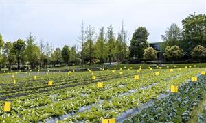 智能農(nóng)機(jī)助力智慧農(nóng)業(yè) 智慧農(nóng)業(yè)行業(yè)市場現(xiàn)狀如何?