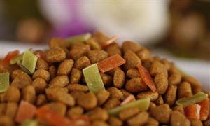 2022牲豬飼料行業前景及市場供需分析報告