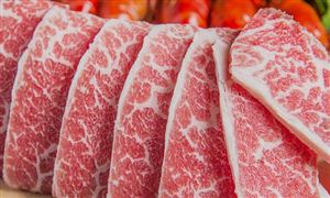 2022中國牛肉產業市場需求與發展趨勢研究