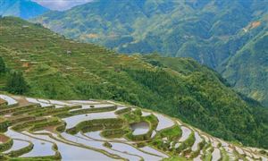 2022微生物發酵行業供需趨勢及市場空間分析