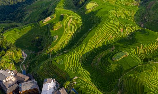 中國特色農業旅游行業消費現狀 特色農業旅游行業發展趨勢預測