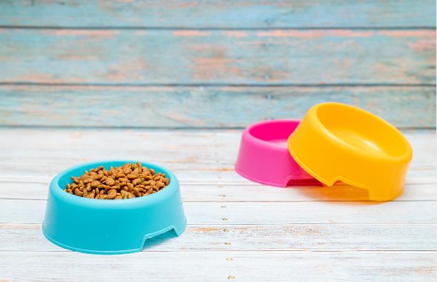 寵物飼料進口需求大幅增加 2025年我國寵物市場規模將達八千億元