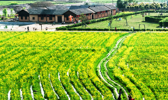 農莊旅游行業發展態勢 農莊旅游行業投資前景