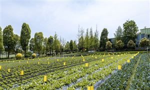 2023節(jié)水灌溉市場(chǎng)現(xiàn)狀及前景分析