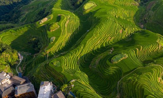 中國特色農業旅游行業消費需求 中國特色農業旅游行業發展趨勢預測