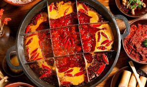 火鍋賽道已經(jīng)進入了白熱化競爭階段 火鍋行業(yè)深度分析及投資戰(zhàn)略研究咨詢報告