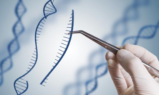 生物工程行業發展現狀及生物工程行業深度分析2023