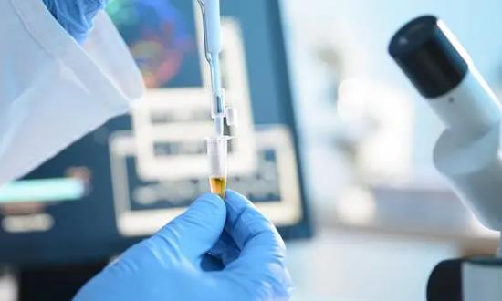 2023抗菌肽畜牧行業發展前景及投資規劃研究