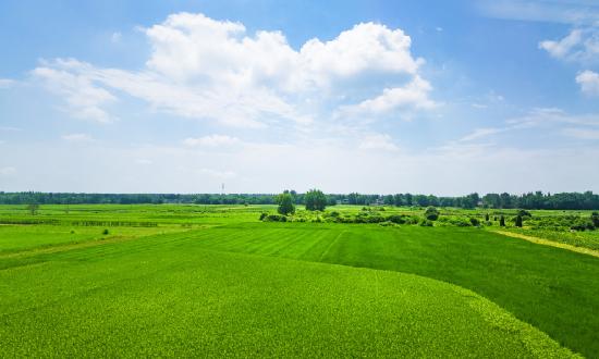 2023年中國微生物肥料行業發展現狀及行業企業競爭格局分析