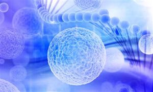 細胞免疫療法即將臨床使用 治療癌癥優勢明顯 是創新藥領域研發的細分賽道