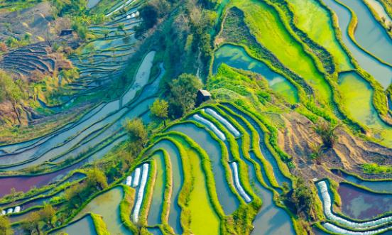 農業旅游產業深度調研及現狀分析2023