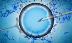 2023生殖健康行業市場前瞻與發展現狀深度分析