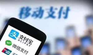移動支付行業(yè)市場投資前景及未來發(fā)展方向