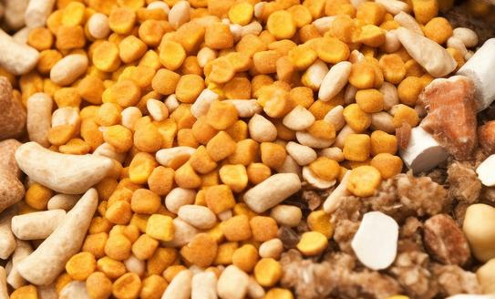 中國飼料原料市場發展現狀分析2023