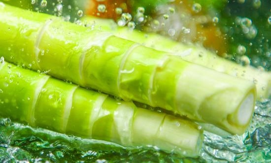 竹筍加工行業(yè)分析：未來(lái)中國(guó)的竹筍產(chǎn)業(yè)將繼續(xù)保持快速發(fā)展的趨勢(shì)