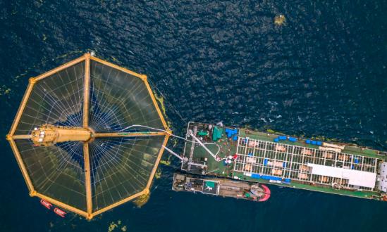 2024海洋新能源行業(yè)深度調(diào)研：海洋油氣與新能源融合發(fā)展將成為熱點(diǎn)方向