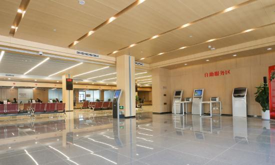 行業預測：預計2028年電子政務市場規模將增長至5829.33億元