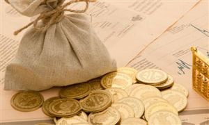 宣布了 知名公司中植企業(yè)申請破產(chǎn)清算 財富管理行業(yè)市場發(fā)展現(xiàn)狀分析