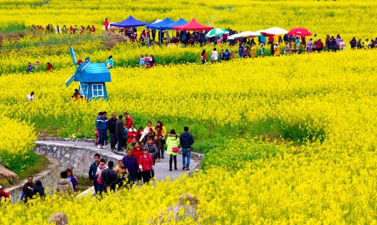 2024休閑農業與鄉村旅游行業前景與趨勢：打造綠色低碳的農業和旅游產業體系