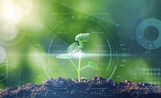生物育種商業化提速 生物育種行業前景展望