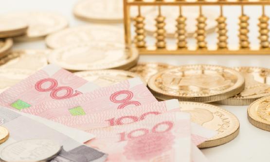 2024年中國金融服務外包行業市場分析及發展前景預測報告