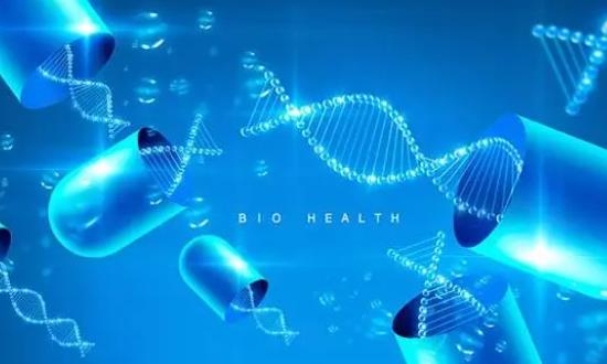 2024生物科技行業市場深度分析：發展循環經濟和推動廢棄物的資源化利用是重要趨勢