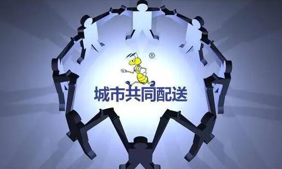 2024城市配送行業深度調研及未來趨勢