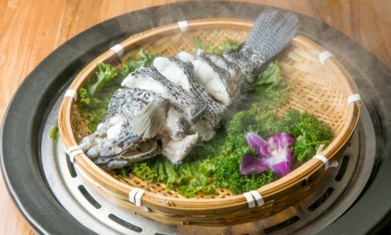 石斑魚行業市場供需格局分析 石斑魚養殖業將更加注重規?；a