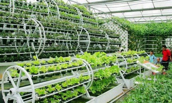 2024年中國植物工廠行業的產業鏈上下游結構及重點企業情況