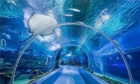2024年中國海洋主題公園行業產業鏈供需布局及發展前景