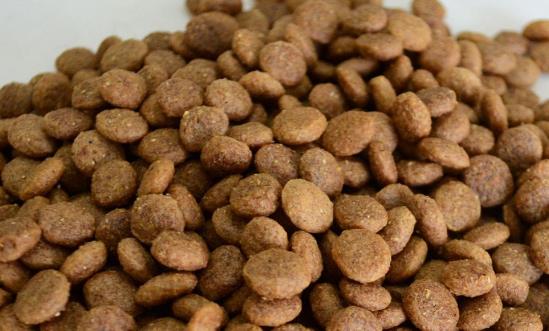 寵物飼料行業市場機會分析：預計2026年城鎮寵物(犬貓)消費市場規模達3613億元