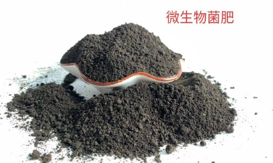 2024年微生物肥料產業的市場發展現狀及發展趨勢分析