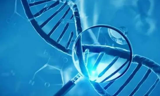 2024生命科學(xué)行業(yè)市場(chǎng)現(xiàn)狀與投資調(diào)研