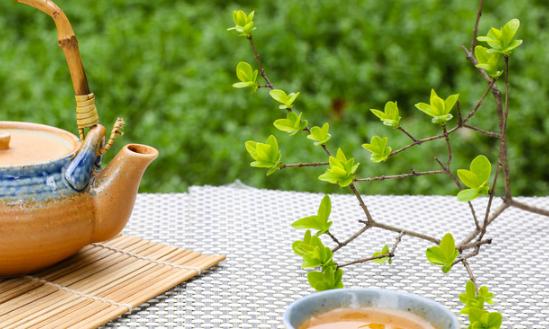 2024年中國茶多酚行業(yè)現(xiàn)狀、市場規(guī)模及未來發(fā)展趨勢分析
