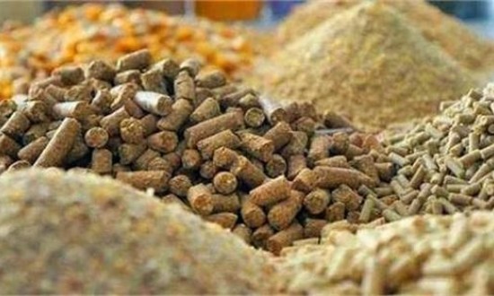 2024年食品及飼料添加劑行業現狀分析