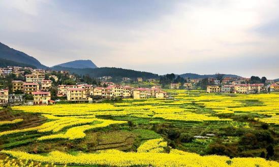 2023年中國鄉(xiāng)村旅游行業(yè)發(fā)展現(xiàn)狀、競爭格局及未來發(fā)展趨勢分析
