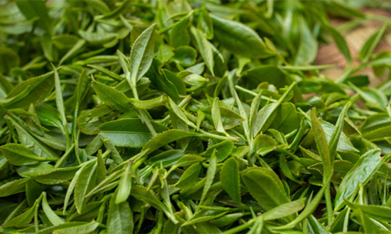 我國現存茶葉相關企業163.8萬余家 2024年茶葉行業市場深度分析
