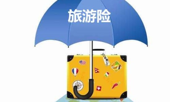 2024年中國旅游保險行業的產業鏈上下游結構及投資趨勢分析